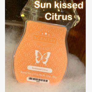 Sun kissed Citrus Scentsy Scent Bar